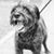 Kirsten Rose's profile image