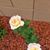 Shelly Spink's profile image