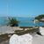 Toni Panaro Corbin's profile image