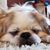 Lyndi Sue's profile image