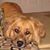 Mary Lanter's profile image