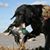 Michael D. Holcomb Sr.'s profile image