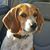 Eric Salzer's profile image