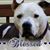 Dyanne Scherb's profile image