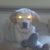 David Fox's profile image