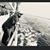 Timothy Hafner-Puff's profile image