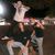Ryan Kistler's profile image