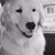 Rachel Nemiroff Baskin's profile image