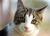 Mallory S.'s profile image