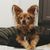 Amanda Fedyk Durkin's profile image