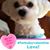 Kathi Stannard's profile image