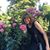 Karen Peddicord's profile image
