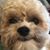 Linda Opferman's profile image