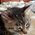 Linda Phillips's profile image