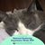 Tracy Fennell Sault's profile image