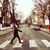 Ionut Murariu's profile image