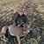 Andrew Ripp's profile image