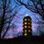 Theresa Wallner Carter's profile image