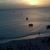 Carole Hlozek's profile image