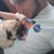 Jason Shane Spell's profile image