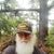 Johnnie Wayne Cunningham's profile image