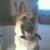 Sherri Glass Southwell's profile image