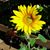 Teresa Fay Lyons's profile image