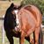 Sharon King's profile image