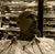 Bill Kowalski's profile image