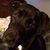 Melissa Pasmore Fischer's profile image