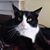 Lorraine Fanelli DePalo Christy's profile image