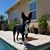 Jenn Segar's profile image