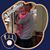 Beverly Coats's profile image