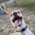 Karen Searle Robinson's profile image