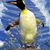 Teresa Cooper's profile image