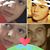 Rrahman Blakqori's profile image