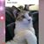 Sandy Slaight's profile image