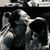 Kelly Misko's profile image