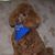 Deb Hudak's profile image