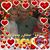 Debbie L Brown Wieczorek's profile image