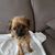 Sandy Kintzele's profile image