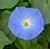 Karen Sue Lasley's profile image