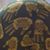 David Mondore's profile image