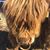 Heather Sheppard Lunn's profile image