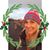 Amanda Montague's profile image