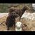 Beth Pinkston's profile image