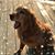 Tracy Ford-Mahan's profile image