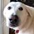 Janet Anderson's profile image