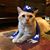 Jen Deeb's profile image