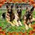 Tracy Polak's profile image